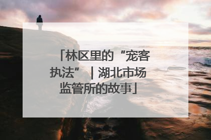 林区里的“宠客执法”｜湖北市场监管所的故事