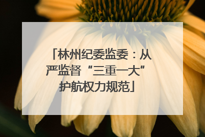 林州纪委监委：从严监督“三重一大” 护航权力规范