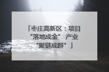 枣庄高新区：项目“落地成金” 产业“聚链成群”