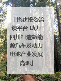 搭建投资洽谈平台 助力四川打造新能源汽车及动力电池产业发展高地