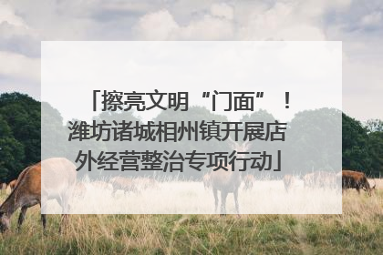 擦亮文明“门面”！潍坊诸城相州镇开展店外经营整治专项行动