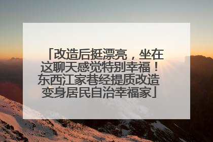 改造后挺漂亮，坐在这聊天感觉特别幸福！东西江家巷经提质改造变身居民自治幸福家