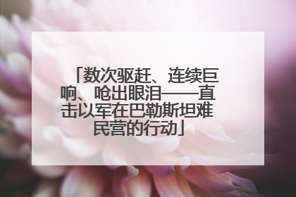 数次驱赶、连续巨响、呛出眼泪——直击以军在巴勒斯坦难民营的行动