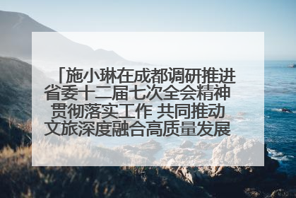 施小琳在成都调研推进省委十二届七次全会精神贯彻落实工作 共同推动文旅深度融合高质量发展 加快打造支柱产业民生产业幸福产业