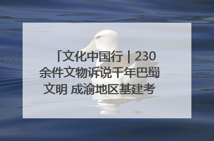 文化中国行｜230余件文物诉说千年巴蜀文明 成渝地区基建考古成果展开展
