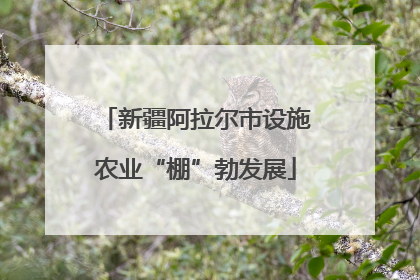 新疆阿拉尔市设施农业“棚”勃发展