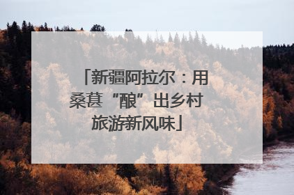 新疆阿拉尔：用桑葚“酿”出乡村旅游新风味
