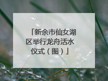 新余市仙女湖区举行龙舟活水仪式（图）