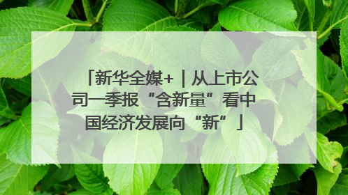 新华全媒+｜从上市公司一季报“含新量”看中国经济发展向“新”