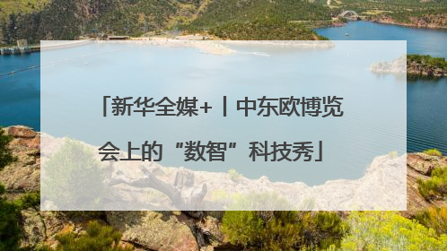 新华全媒+丨中东欧博览会上的“数智”科技秀