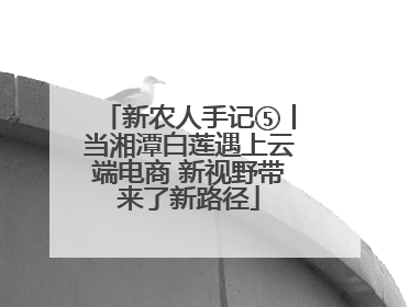 新农人手记⑤丨当湘潭白莲遇上云端电商 新视野带来了新路径