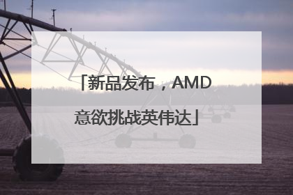 新品发布，AMD意欲挑战英伟达