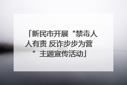 新民市开展“禁毒人人有责 反诈步步为营”主题宣传活动