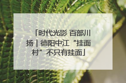 时代光影 百部川扬｜德阳中江“挂面村”不只有挂面