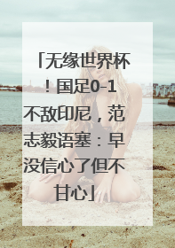 无缘世界杯！国足0-1不敌印尼，范志毅语塞：早没信心了但不甘心