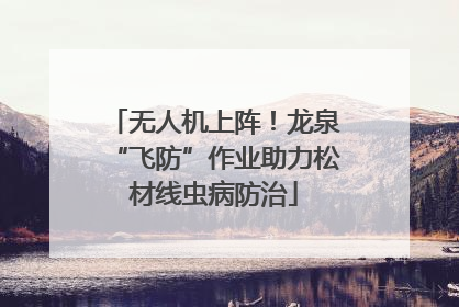 无人机上阵！龙泉“飞防”作业助力松材线虫病防治
