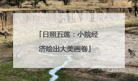 日照五莲：小院经济绘出大美画卷