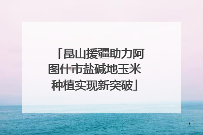 昆山援疆助力阿图什市盐碱地玉米种植实现新突破