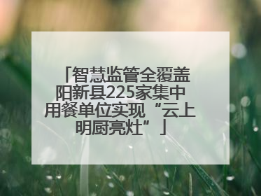 智慧监管全覆盖 阳新县225家集中用餐单位实现“云上明厨亮灶”
