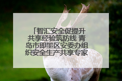 智汇安全促提升 共享经验筑防线 青岛市即墨区安委办组织安全生产共享专家现场观摩学习活动