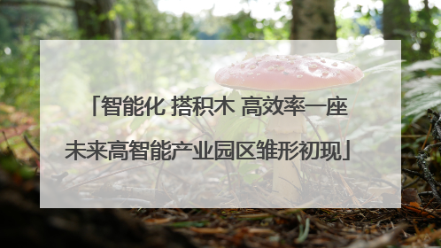 智能化 搭积木 高效率一座未来高智能产业园区雏形初现