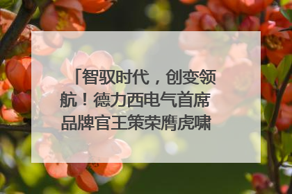 智驭时代，创变领航！德力西电气首席品牌官王策荣膺虎啸奖年度品牌人物