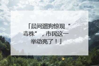 晨间遛狗惊现“毒株”，市民这一举动亮了！