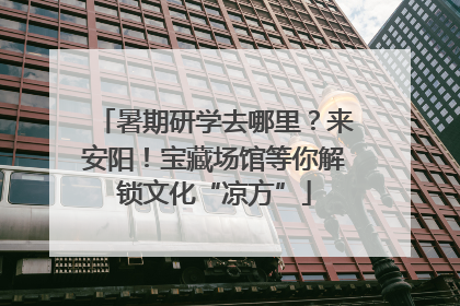 暑期研学去哪里？来安阳！宝藏场馆等你解锁文化“凉方”