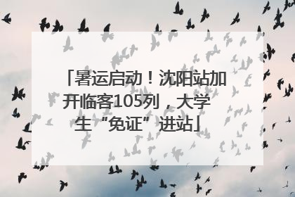暑运启动！沈阳站加开临客105列，大学生“免证”进站