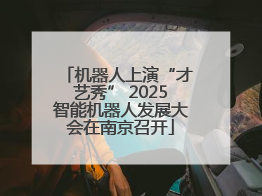 机器人上演“才艺秀” 2025智能机器人发展大会在南京召开