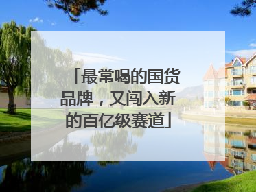 最常喝的国货品牌，又闯入新的百亿级赛道