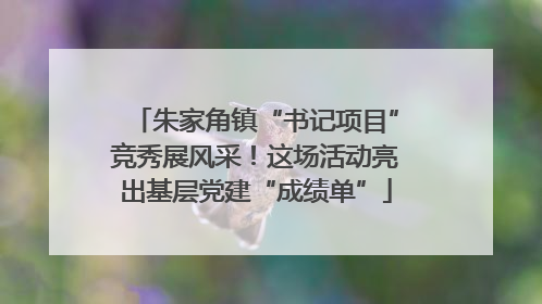 朱家角镇“书记项目”竞秀展风采！这场活动亮出基层党建“成绩单”