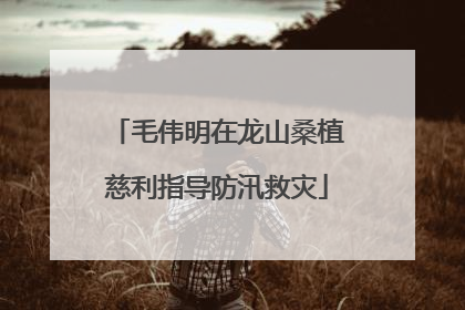 毛伟明在龙山桑植慈利指导防汛救灾