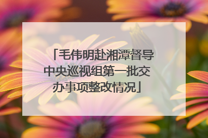 毛伟明赴湘潭督导中央巡视组第一批交办事项整改情况