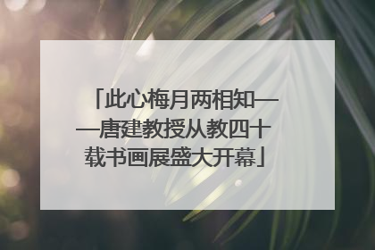此心梅月两相知——唐建教授从教四十载书画展盛大开幕