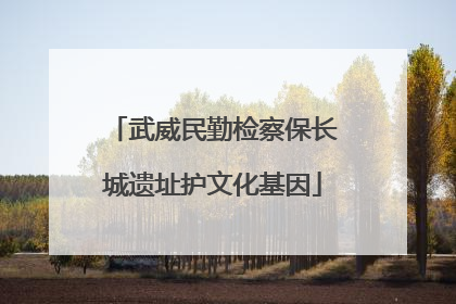 武威民勤检察保长城遗址护文化基因