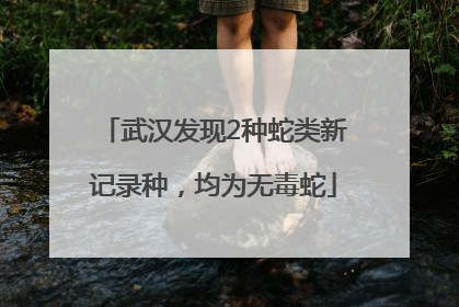 武汉发现2种蛇类新记录种，均为无毒蛇