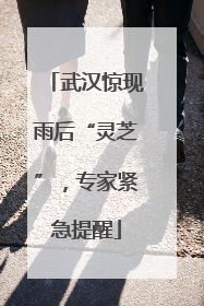 武汉惊现雨后“灵芝”，专家紧急提醒