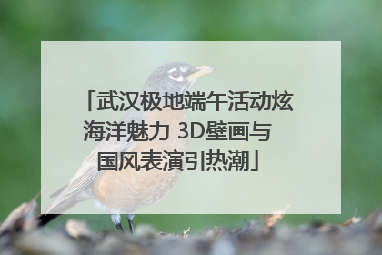 武汉极地端午活动炫海洋魅力 3D壁画与国风表演引热潮