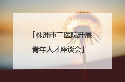 株洲市二医院开展青年人才座谈会