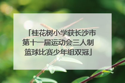 桂花树小学获长沙市第十一届运动会三人制篮球比赛少年组双冠