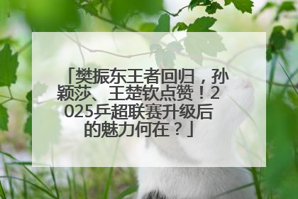 樊振东王者回归，孙颖莎、王楚钦点赞！2025乒超联赛升级后的魅力何在？