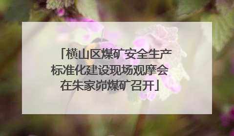 横山区煤矿安全生产标准化建设现场观摩会在朱家峁煤矿召开
