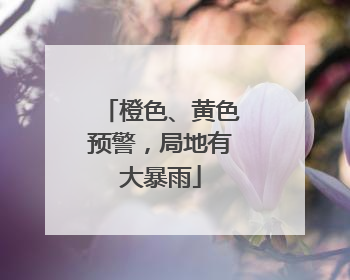 橙色、黄色预警，局地有大暴雨