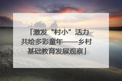 激发“村小”活力 共绘多彩童年——乡村基础教育发展观察