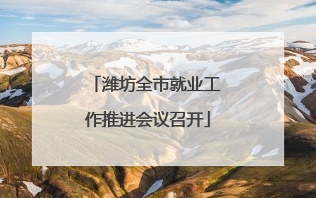 潍坊全市就业工作推进会议召开