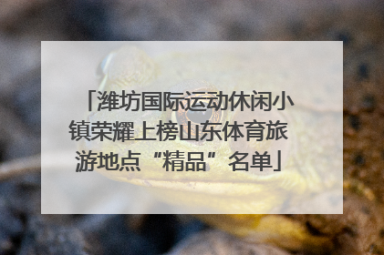 潍坊国际运动休闲小镇荣耀上榜山东体育旅游地点“精品”名单