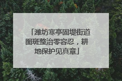 潍坊寒亭固堤街道图斑整治零容忍，耕地保护见真章