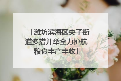 潍坊滨海区央子街道多措并举全力护航粮食丰产丰收