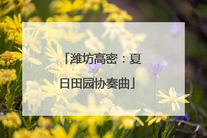 潍坊高密：夏日田园协奏曲